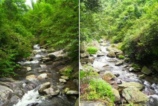 周洛活動(dòng) 周洛活動(dòng)